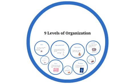 9 Levels of Organization by Adam Lundsted - Prezi