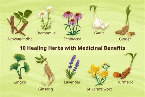 9 Simple Herbal Remedies from Your Garden - raincitystudios.com