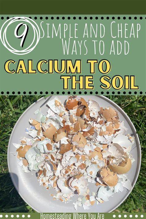 9 Simple Ways to Add Calcium to Soil - Homesteading … - raincitystudios.com