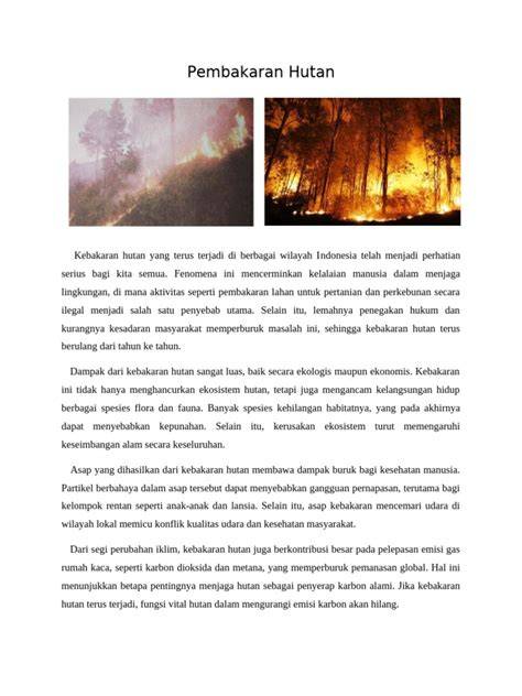 9 Solusi Kebakaran Hutan di Indonesia - raincitystudios.com