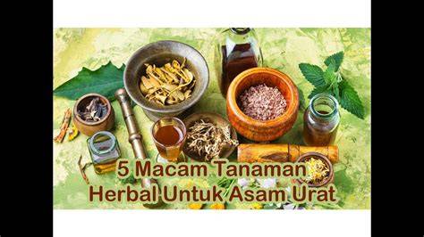 9 Tanaman Herbal untuk Mengobati Asam Urat - raincitystudios.com