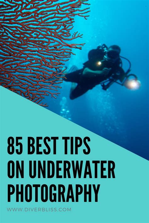 9 Tips for Amazing Underwater Photography & Videography | Movo - raincitystudios.com