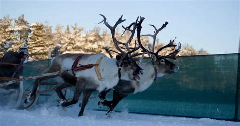 9 Unique/Unusual Sports That Are Popular In Finland