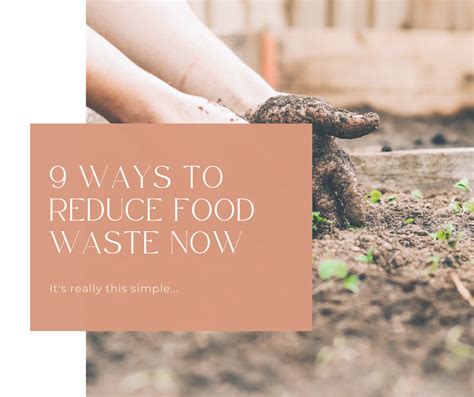 9 Ways to Reduce Food Waste as a Family - raincitystudios.com