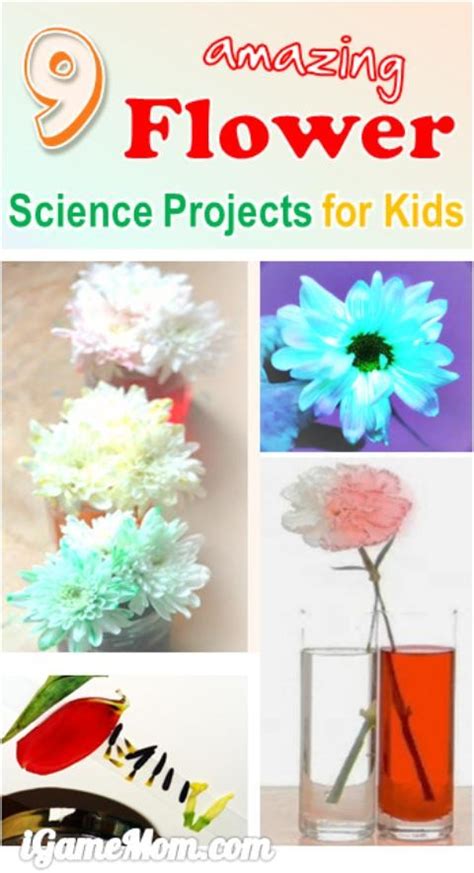 9 Amazing Flower Science Projects For Kids Igamemom Science Experiments With Flowers - Science Experiments With Flowers