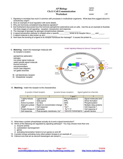 9 E Cell Communication Exercises Biology Libretexts Cell Communication Worksheet Answers - Cell Communication Worksheet Answers