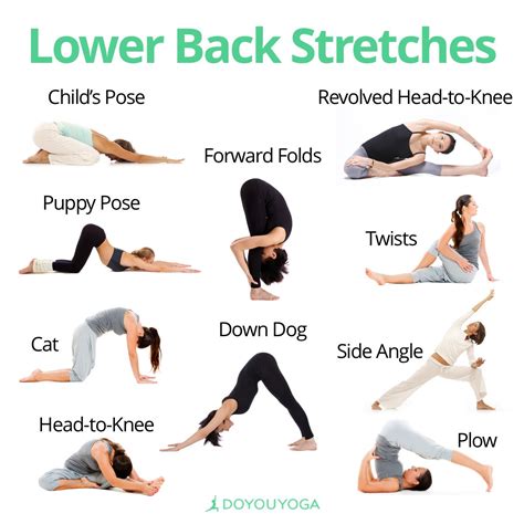 9 exercises to strengthen and stretch the lower back