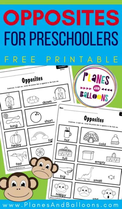 9 Inviting Opposite Worksheets For Preschool Kids Pictures Of Opposites For Preschool - Pictures Of Opposites For Preschool