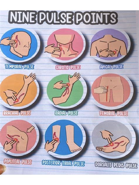 9 Pulse Points In The Body