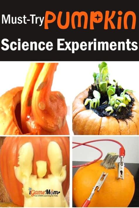 9 Pumpkin Science Activities For Kids Science Pumpkins - Science Pumpkins