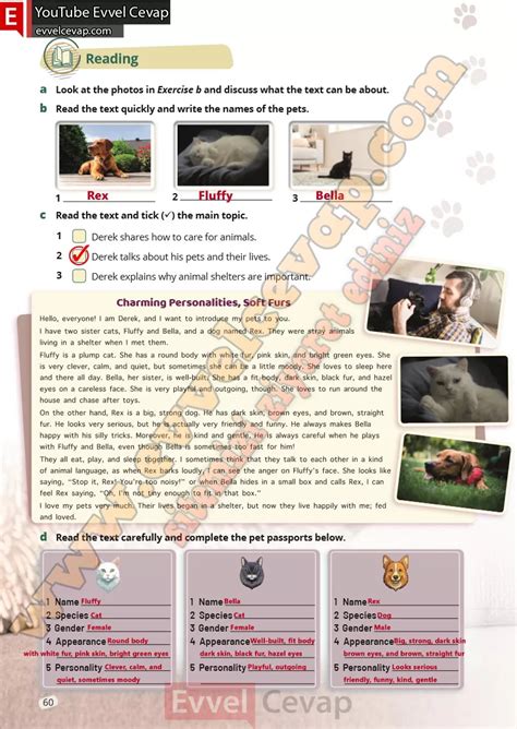 9 Sinif Ingilizce Test