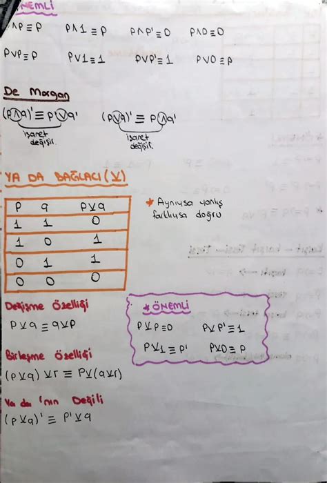 9 Sınıf Mantık Test