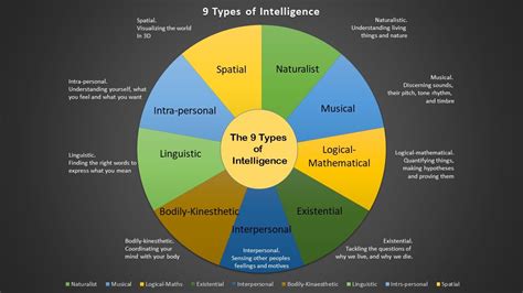 9 Types Of Intelligence Test