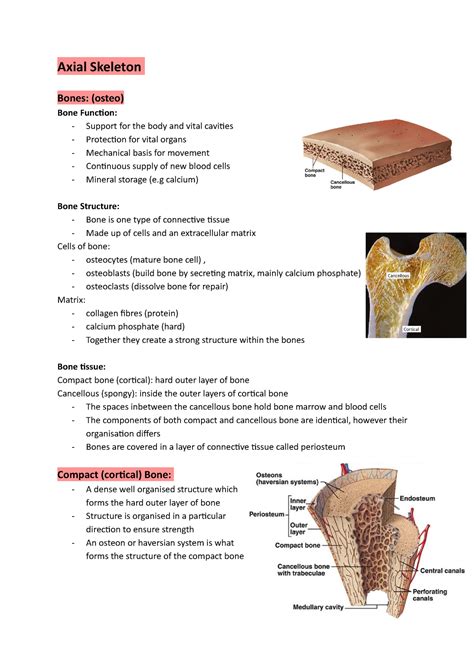 9.1: Bone Structure and Function - Medicine LibreTexts