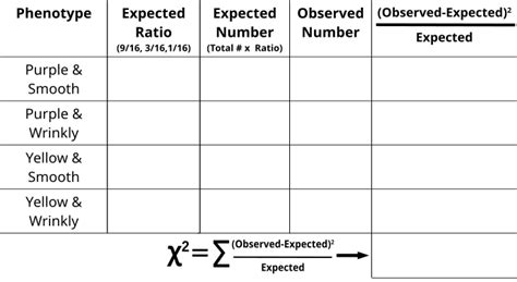 9.4 Probability and ChiSquare Analysis Biology LibreTexts