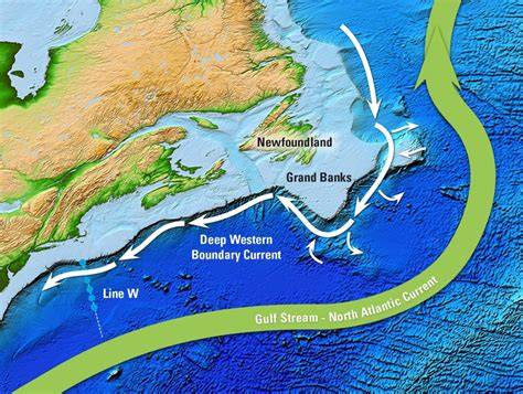 9.6: Boundary Currents - Geosciences LibreTexts - raincitystudios.com
