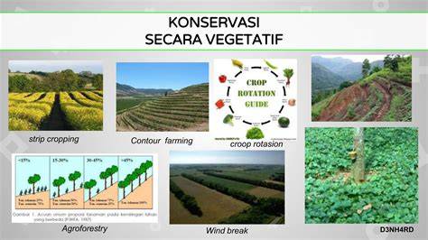 9.KTA-METODE KONSERVASI VEGETATIF - UPN VETERAN … - raincitystudios.com