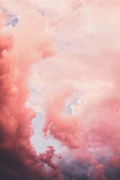 900+ Best Pink Clouds ideas pink, everything pink, pretty in pink