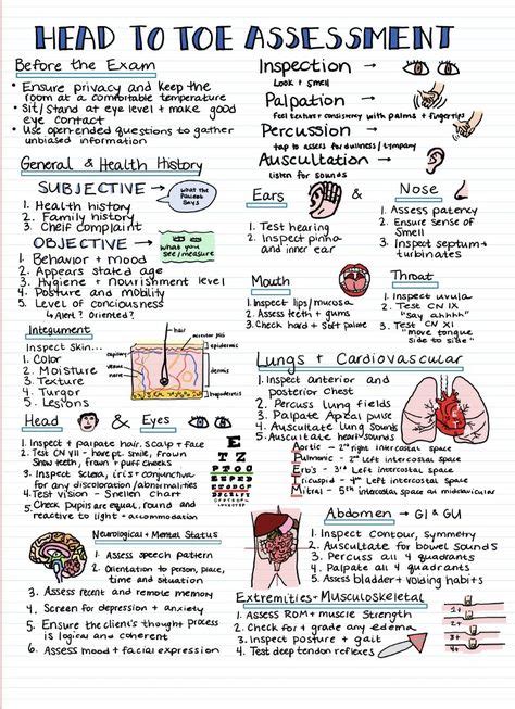 900+ NCLEX ideas nursing study, nursing notes, nursing