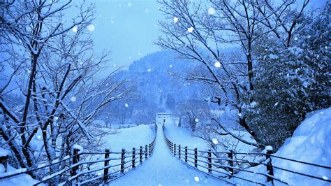 900+ Snow Background Images: Download HD Backgrounds on …