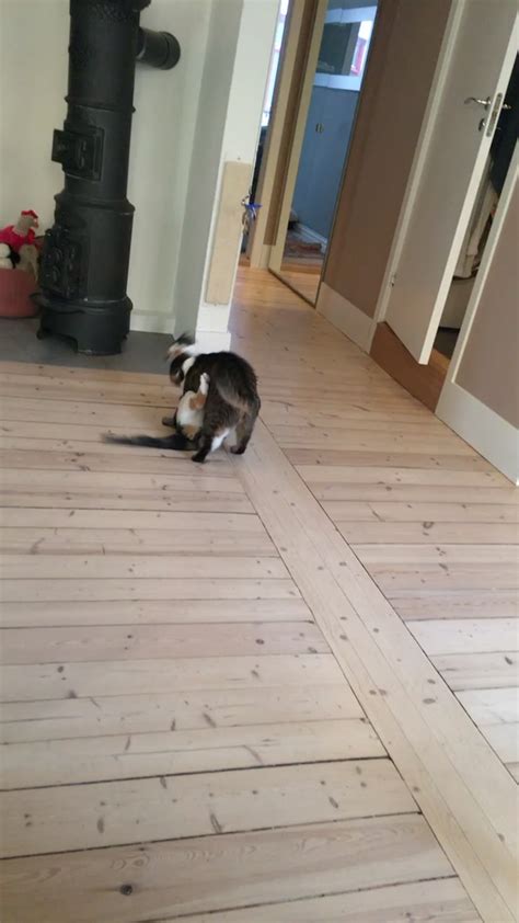 In-Demand Kiara Advani Inspired Bridal Set