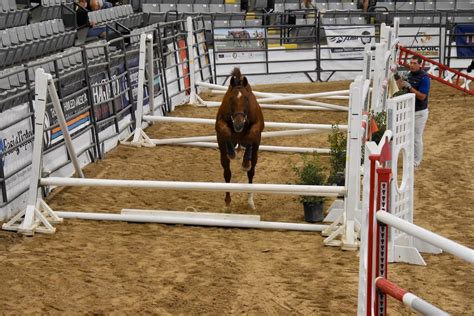 In-Demand Kiara Advani Inspired Bridal Set