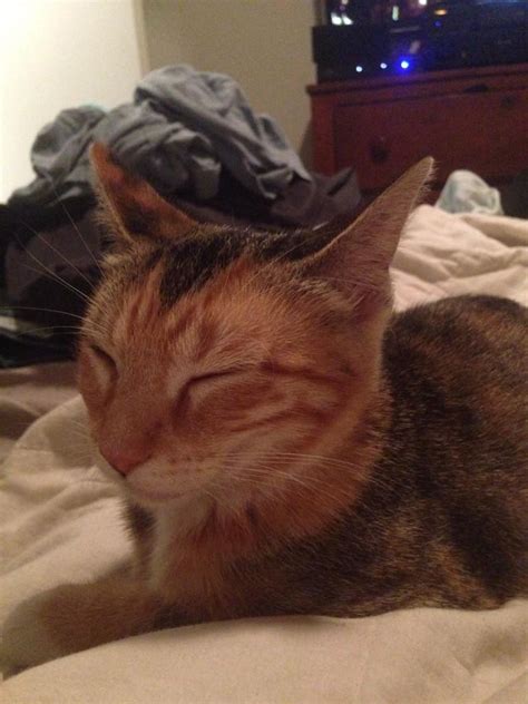 In-Demand Kiara Advani Inspired Bridal Set