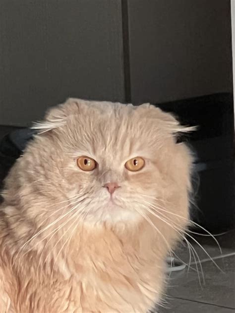 In-Demand Kiara Advani Inspired Bridal Set