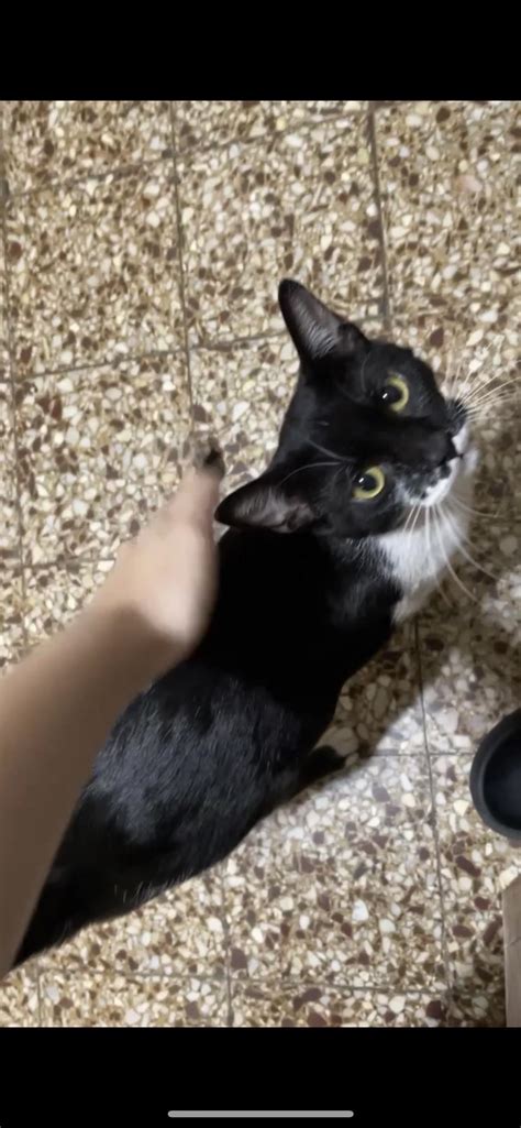 In-Demand Kiara Advani Inspired Bridal Set