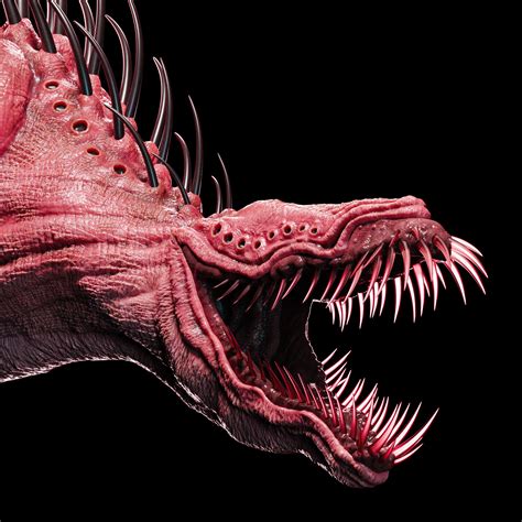 939 Halı ve Koltuk Yıkama