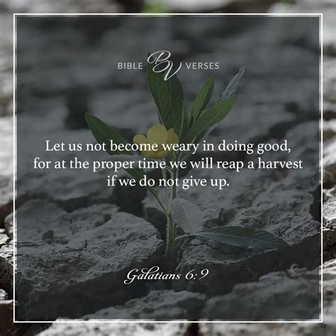 94 Bible Verses about Perseverance (KJV) StillFaith.com