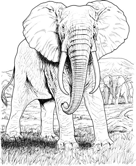 94 Free Printable Elephant Coloring Pages Elephant Face Coloring Pages - Elephant Face Coloring Pages
