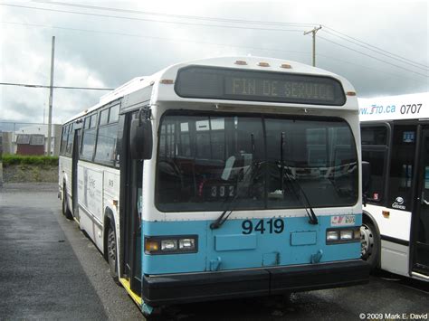 9419 Halı ve Koltuk Yıkama