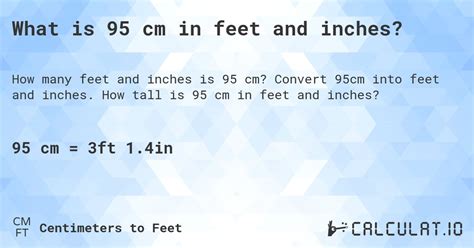 95 Cm In Feet