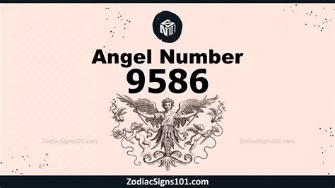 9586 Halı ve Koltuk Yıkama