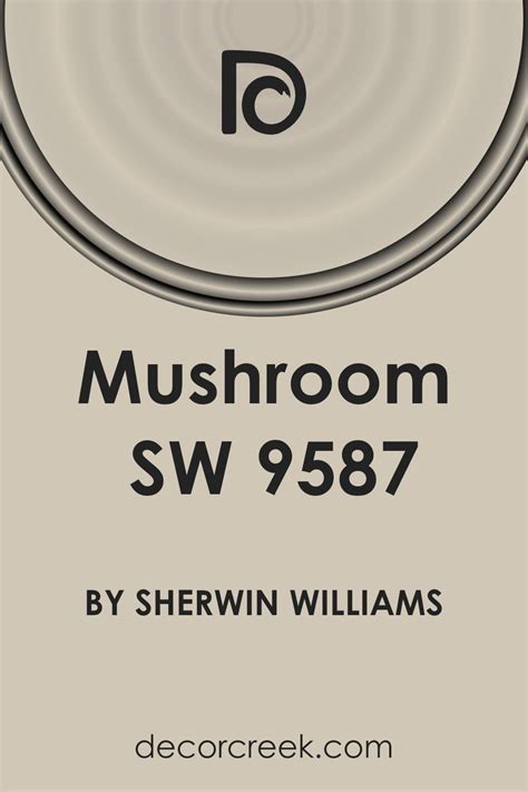 9587 Halı ve Koltuk Yıkama