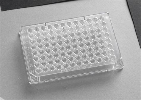 96 Well Plates V Bottom at Thomas Scientific