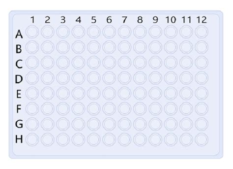 96 Well Plate Format