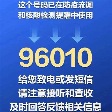 96010 Halı ve Koltuk Yıkama