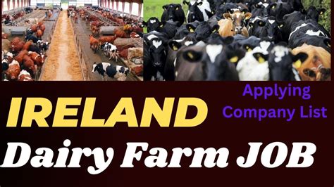 97 Dairy Farm Jobs - 12 April 2024 Indeed.com