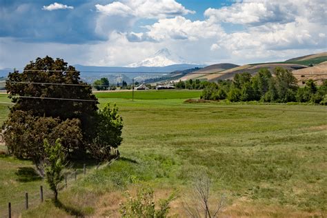 97021 Halı ve Koltuk Yıkama