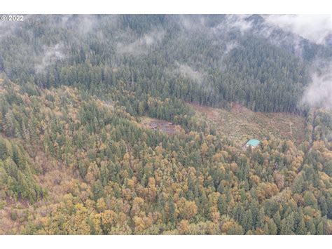 97067 Halı ve Koltuk Yıkama