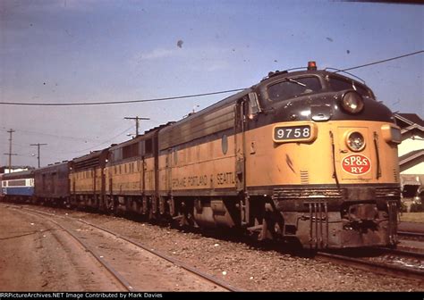 9758 Halı ve Koltuk Yıkama