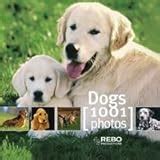 9788854401105 - Dogs (Cube Books) - Enrico Lavagno correct?