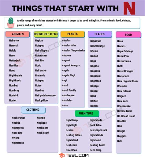 98 Popular Things That Start With N In Letter That Start With N - Letter That Start With N