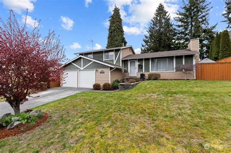 98001 Halı ve Koltuk Yıkama