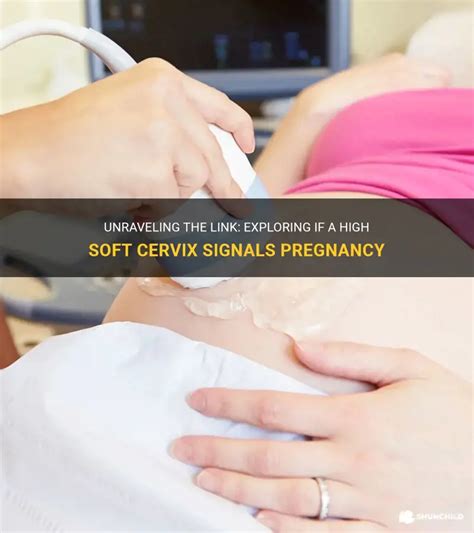 9dpo cervix high and soft. .  ...