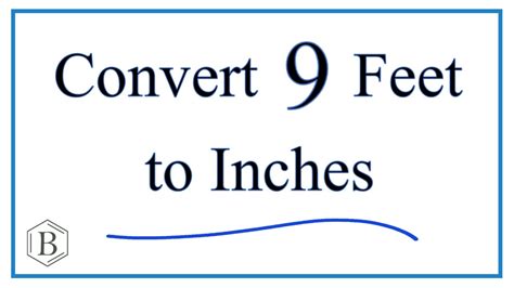9ft 9 Inches