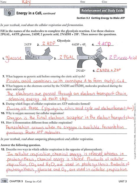 9th grade biology study guide answer key. - Imagens do estrangeiro no diário de miguel torga.