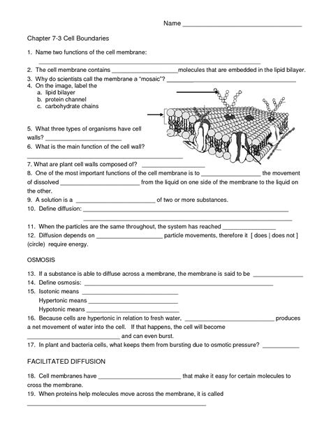 9th Grade Biology Worksheets Teachervision Science Worksheets For 9th Graders - Science Worksheets For 9th Graders